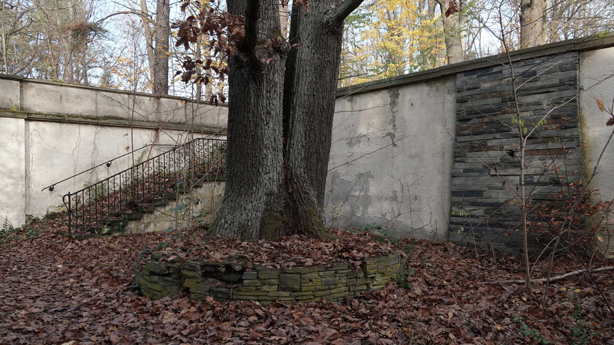 Blick auf den Ehrenhain heute; Foto: Gerd Illing, 2020. Baum, Mauer, Treppe, Herbstlaub im Ehrenhain der FDJ-Schule am Bogensee
